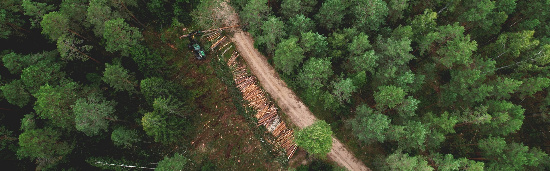 Gallring av skog, flygbild